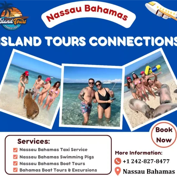 Diving Experiences in the Bahamas