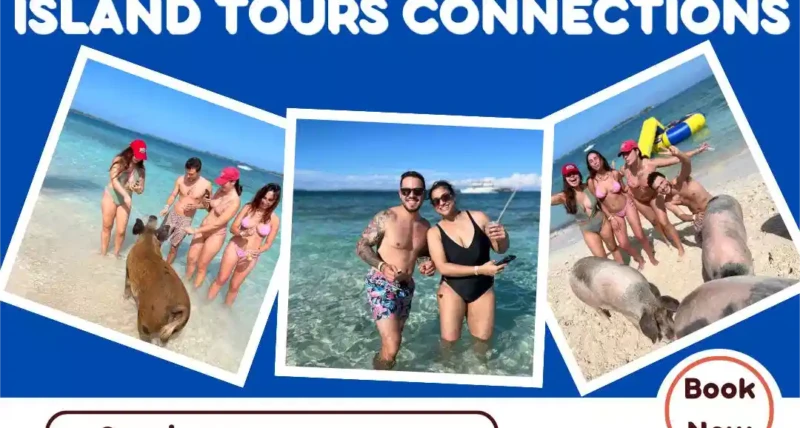 Diving Experiences in the Bahamas