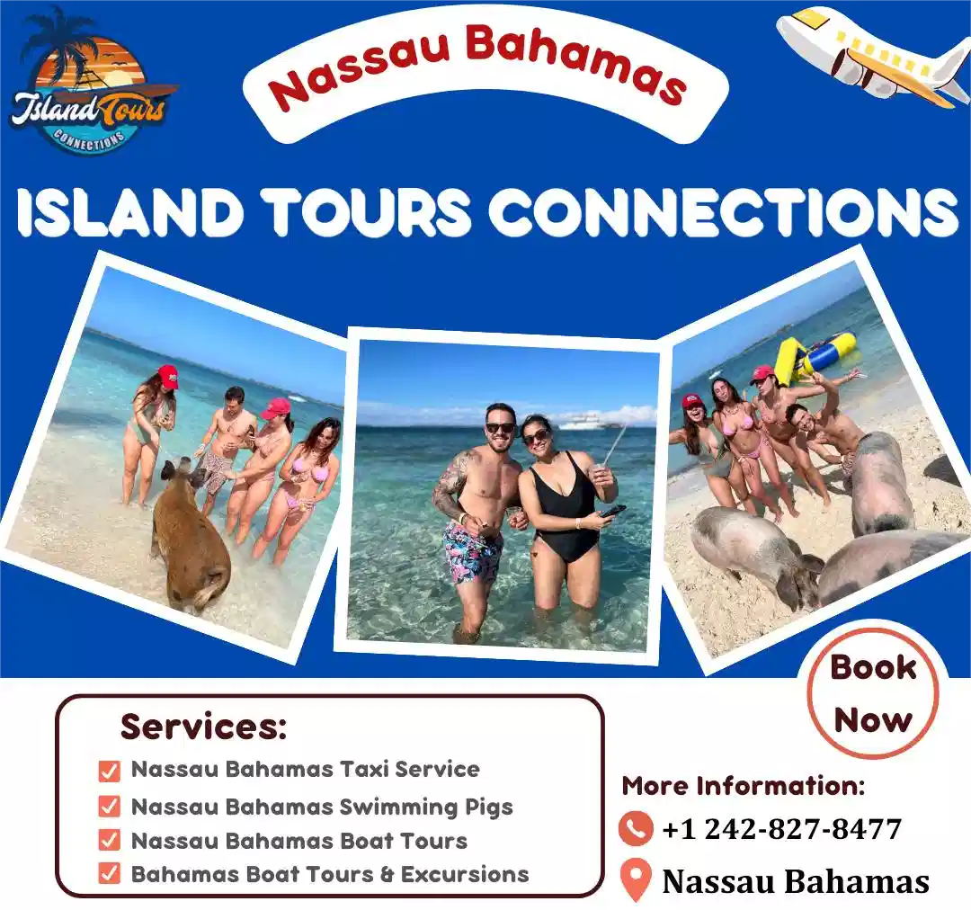 Diving Experiences in the Bahamas