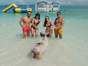 Bahamas Swimming Pigs & Snorkeling