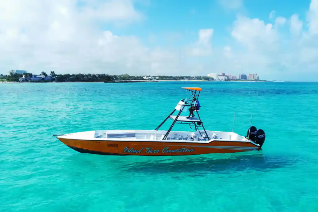 Swimming Pigs, Snorkeling & Beach Tours