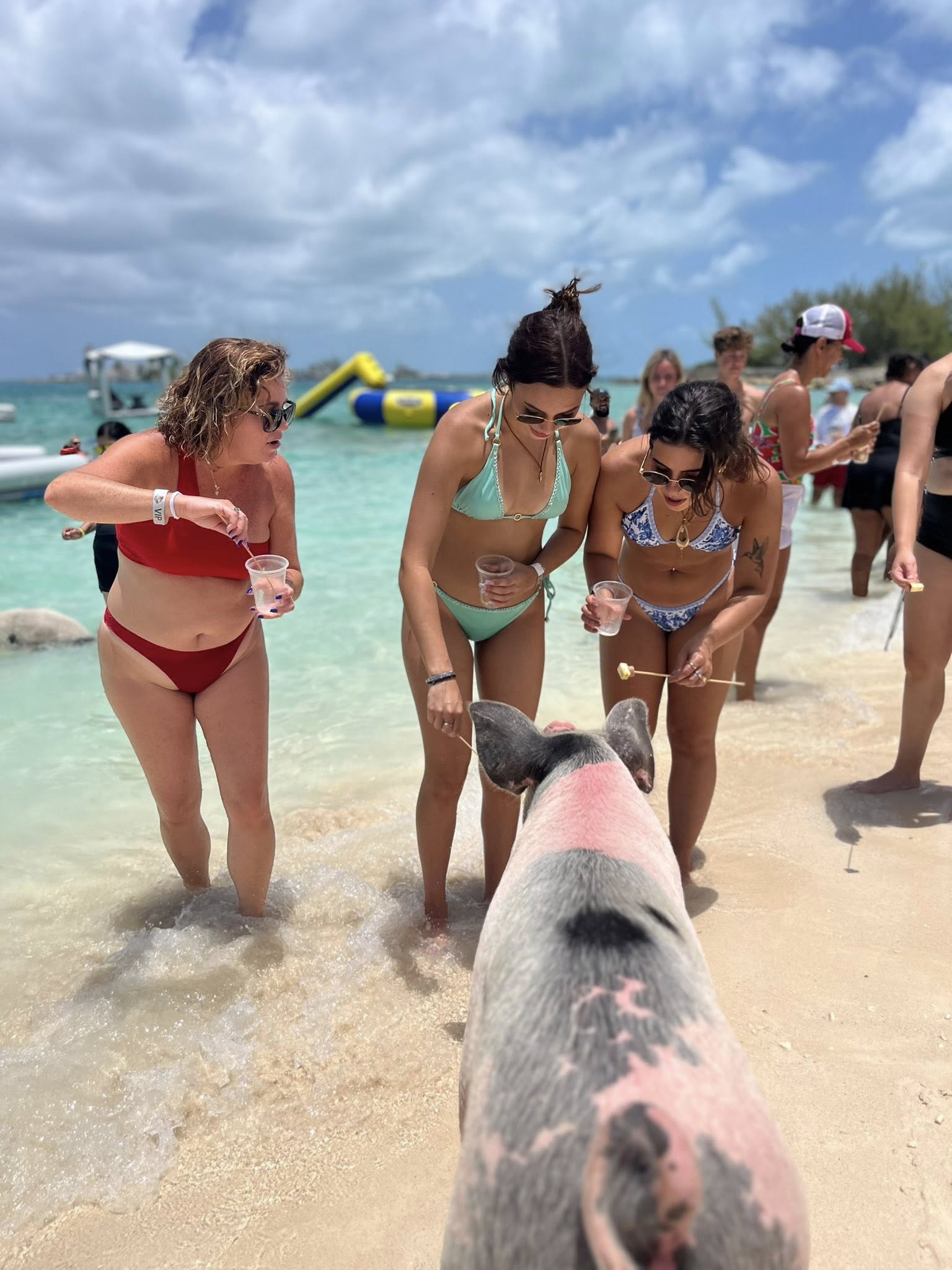 nassau bahamas swim with pigs